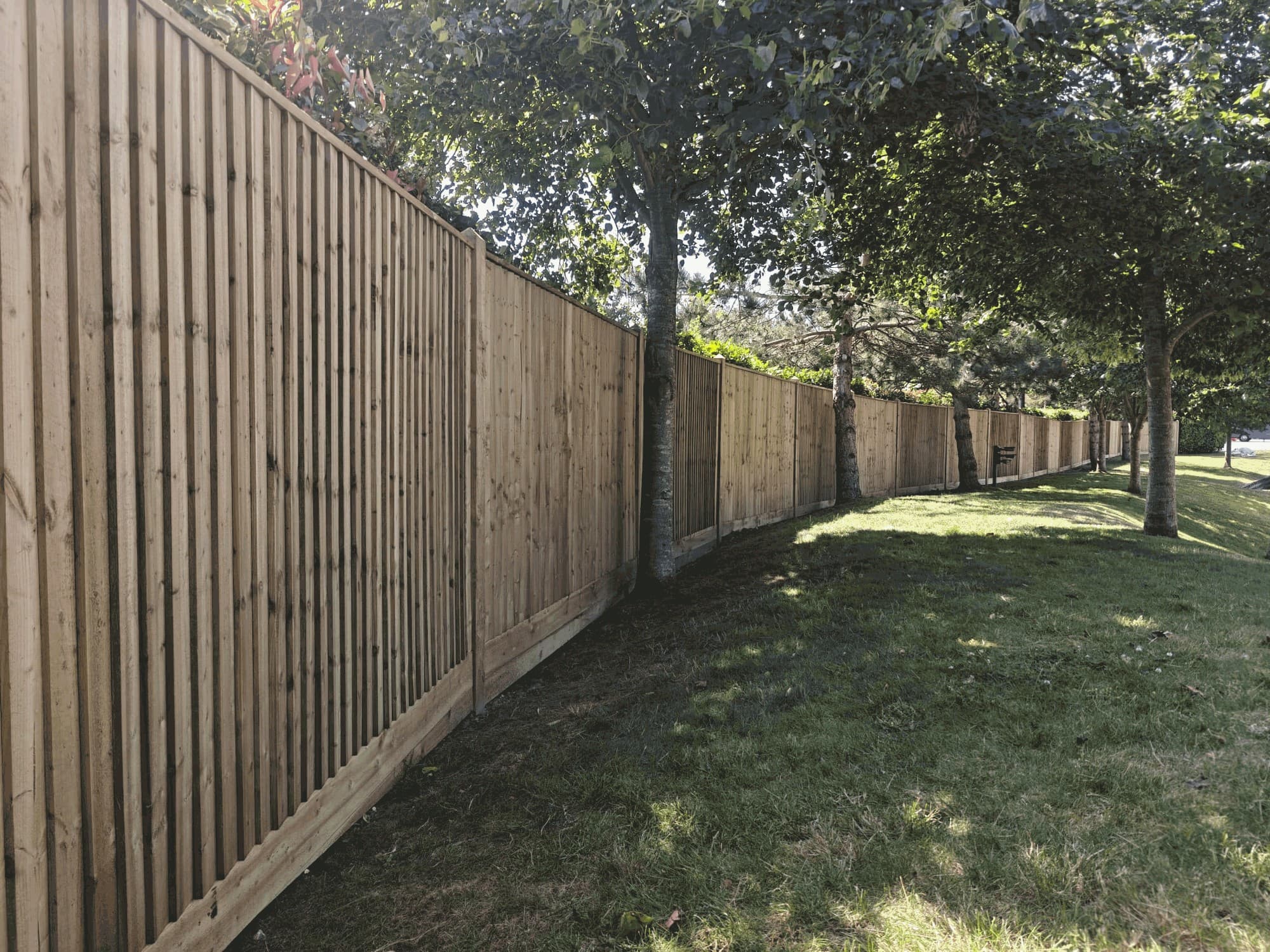 Closeboard fencing installed by Fencecraft, running along a tree-lined garden in Kent Closeboard fencing installed by Fencecraft, running along a tree-lined garden in Kent